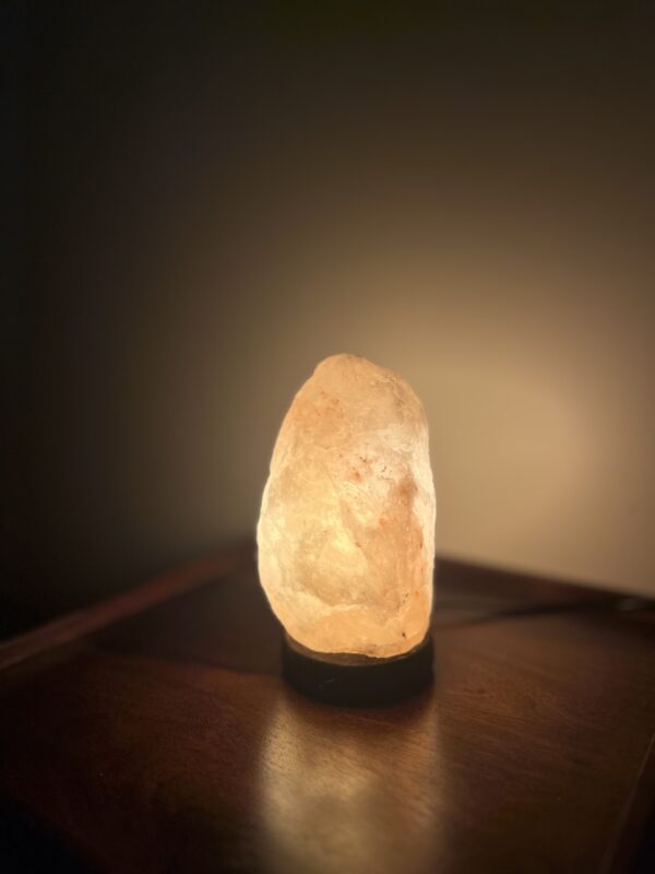 GC Abstract Salt Lamp - Image 2