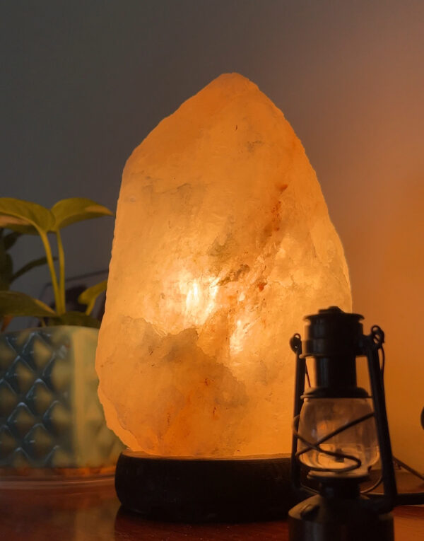 GC Abstract Salt Lamp